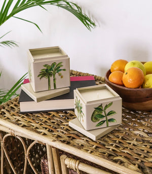 Vela Nova Scented Candles - Botanical Palm