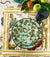 Florence Dinner and Salad Plate Set of 2   Green