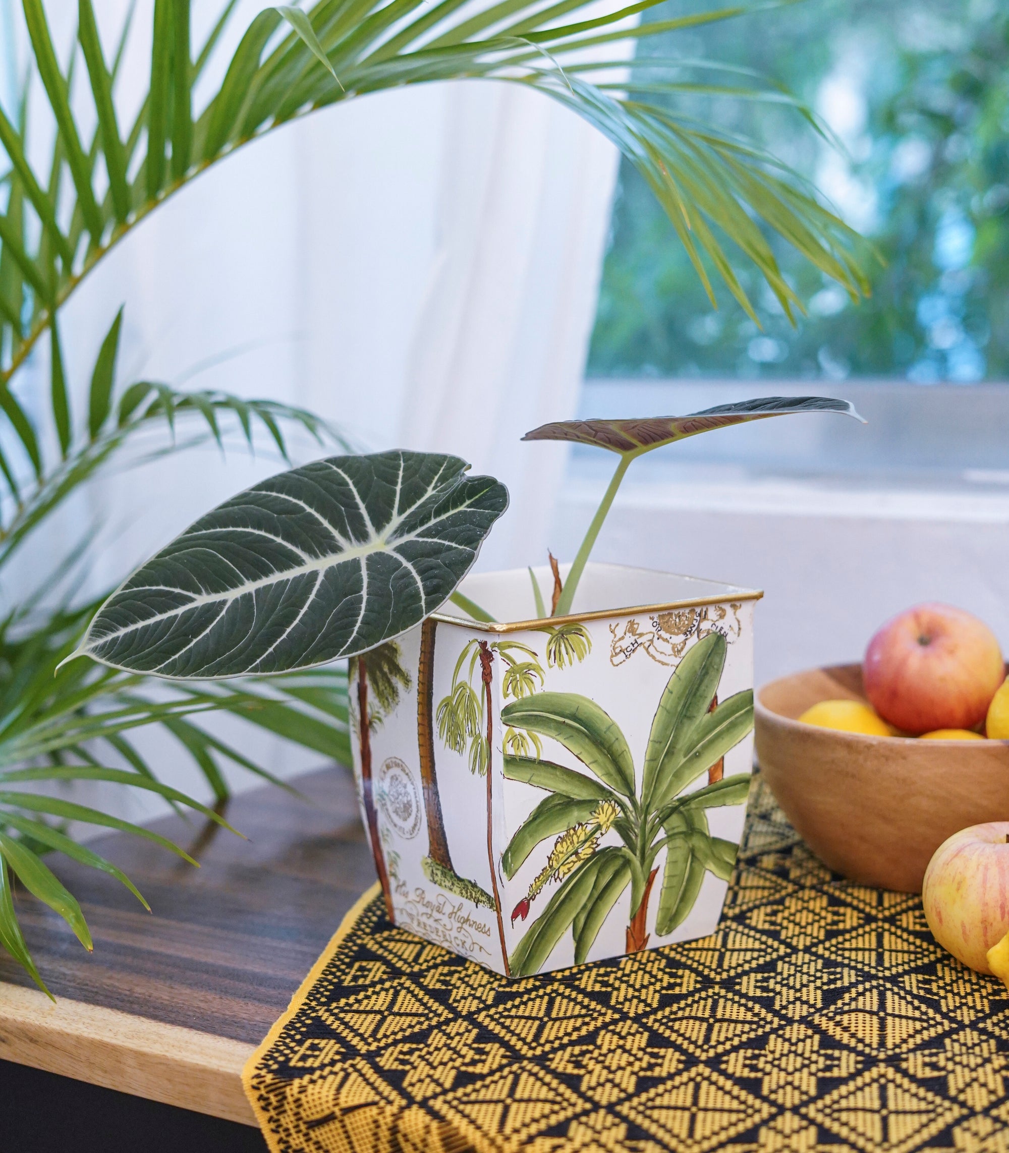 Pianta Sitta Cache Pot -  2 Sizes Royal Palm