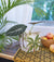 Pianta Sitta Cache Pot -  2 Sizes Royal Palm