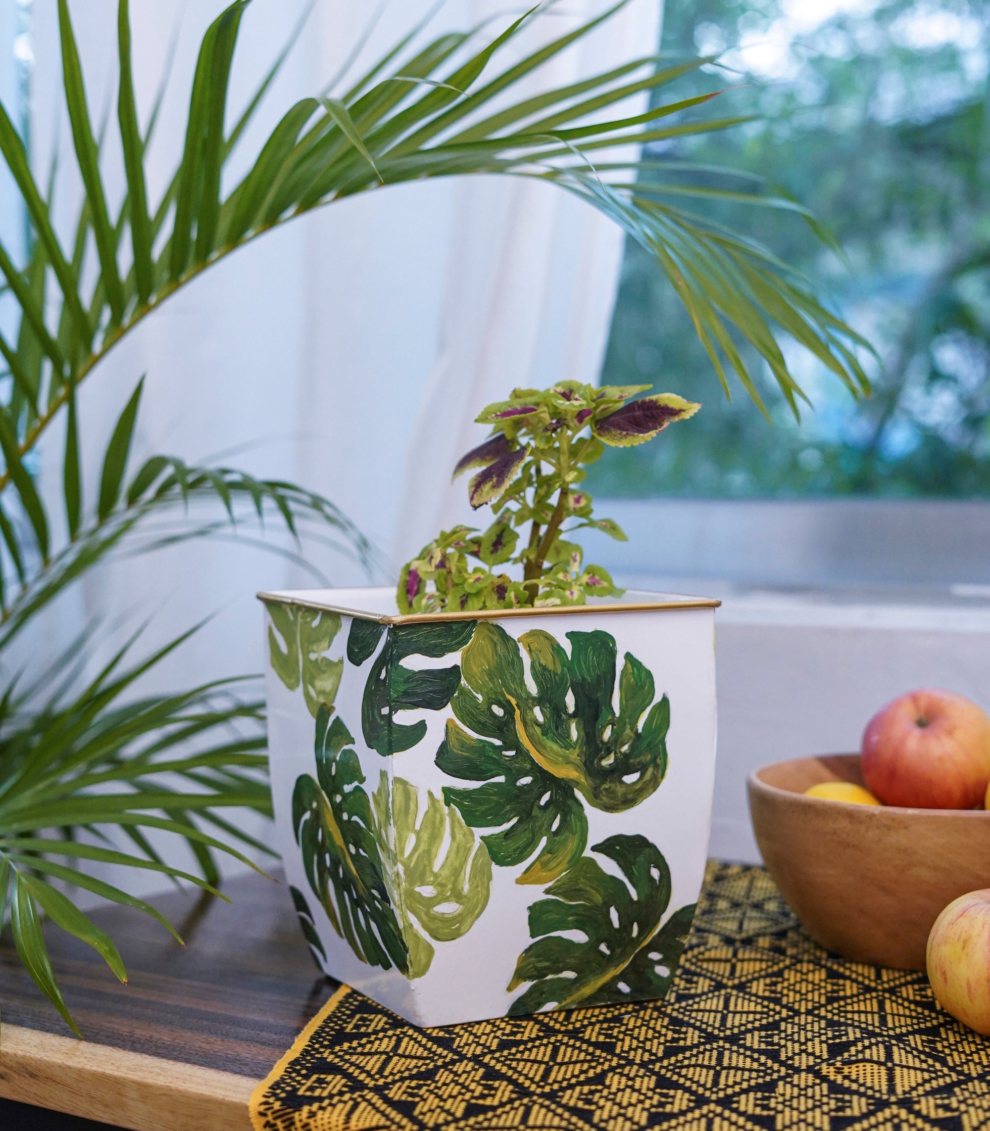 Pianta Square Pot - Monstera