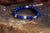 True Wisdom Bracelet with Lapiz Lazuli and Clear Quartz *Jewels of the Nile* (unisex) TWIS-CU1